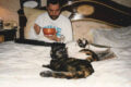30 anni fa ci lasciava Freddy Mercury, La voce, il mito ,la trasgressione e il suo amore per i gatti